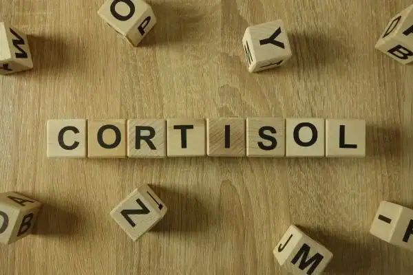The Hidden Connection: How Stress Shapes Your Fitness and Body Composition 2 Image saying "Cortisol" and how stress Coalville impacts your wellbeing and bodies shape